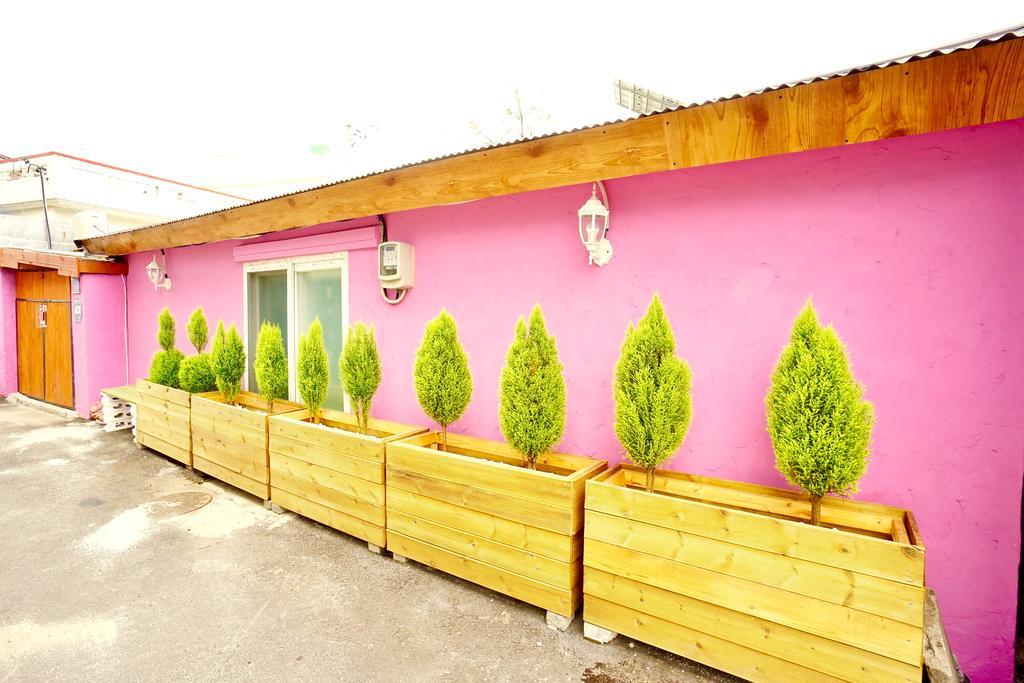 Little Haenyeo Jeju Exterior foto
