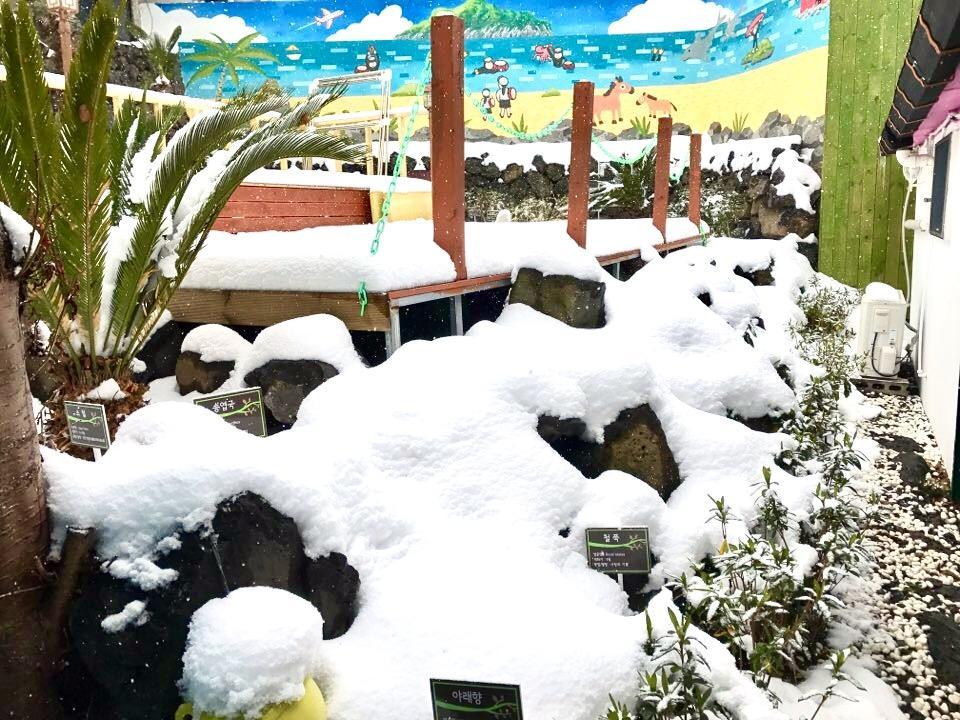 Little Haenyeo Jeju Exterior foto
